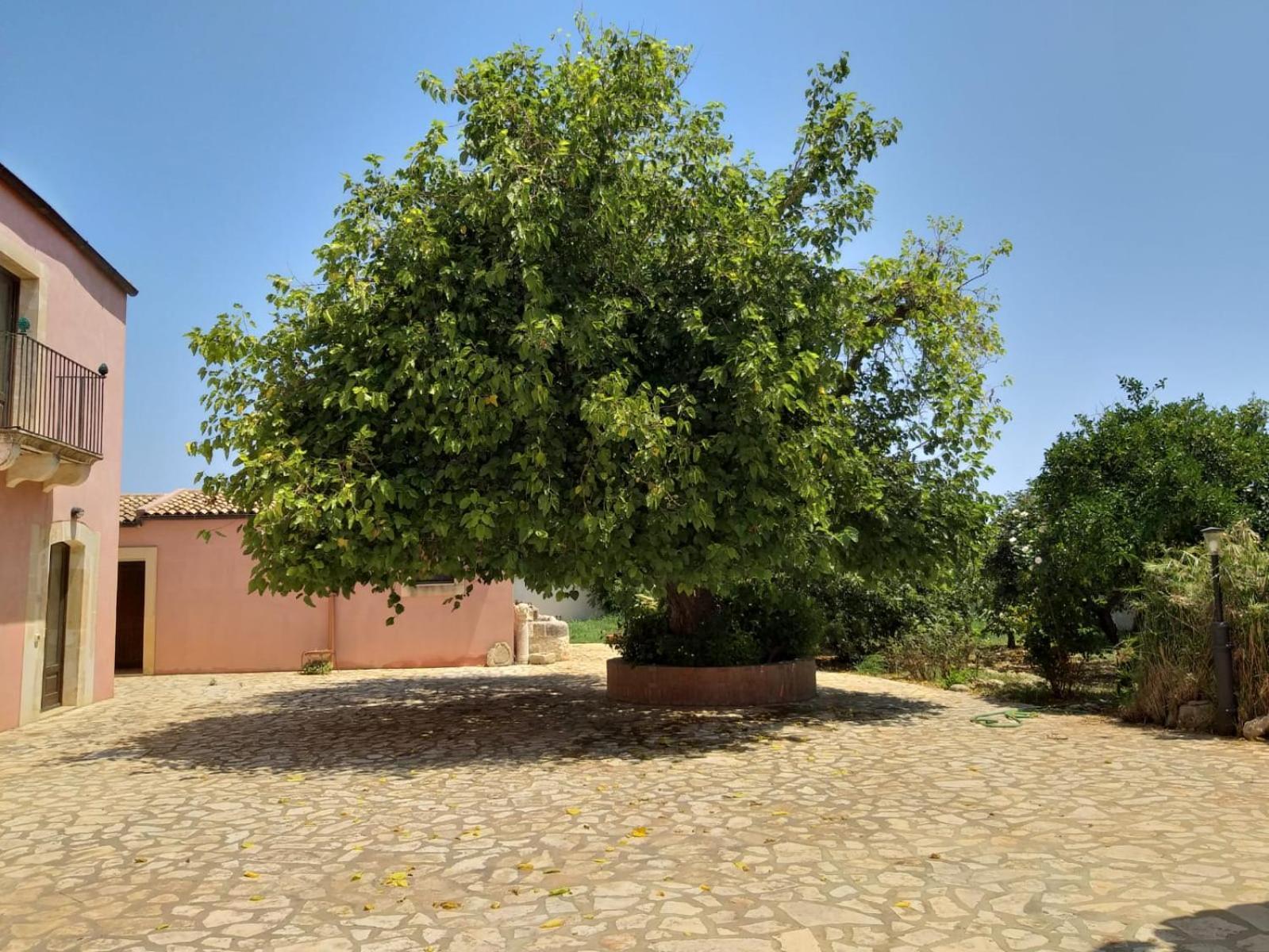 Gasthaus Antica Gebbia Syrakus Exterior foto